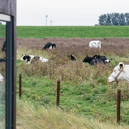 Tiny House Nature 9 Zur Kuhweide - Tiny Village Harlesiel 別荘 *