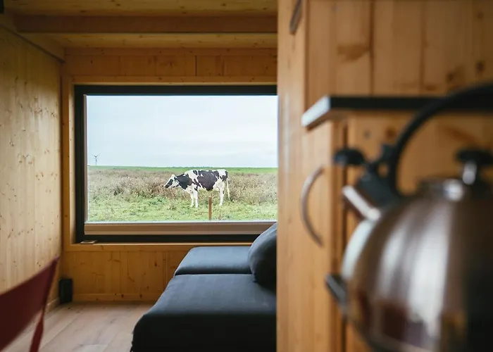 Tiny House Nature 9 Zur Kuhweide - Tiny Village Harlesiel Feriehus